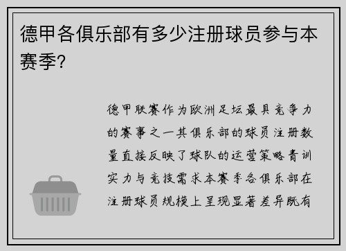德甲各俱乐部有多少注册球员参与本赛季？